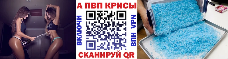 APVP СК Ярославль