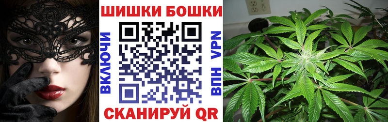 где продают   Ярославль  Бошки марихуана Amnesia 